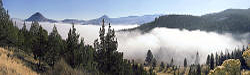 Black Butte fog - Ochoco National Forest Oregon