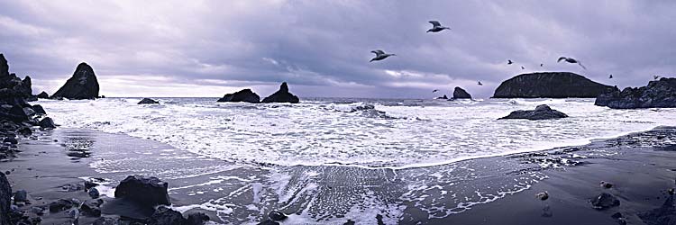 Harris Beach panorama, Brookings ocean picture from Southern Oregon, Oregon Islands National Wildlife Reserve