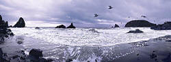 Oregon coast panorama - Harris Beach - Brookings