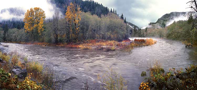 Nehalem River panorama; Oregon wildlife picture with elk in rut; autumn photograph sold as framed photo or canvas