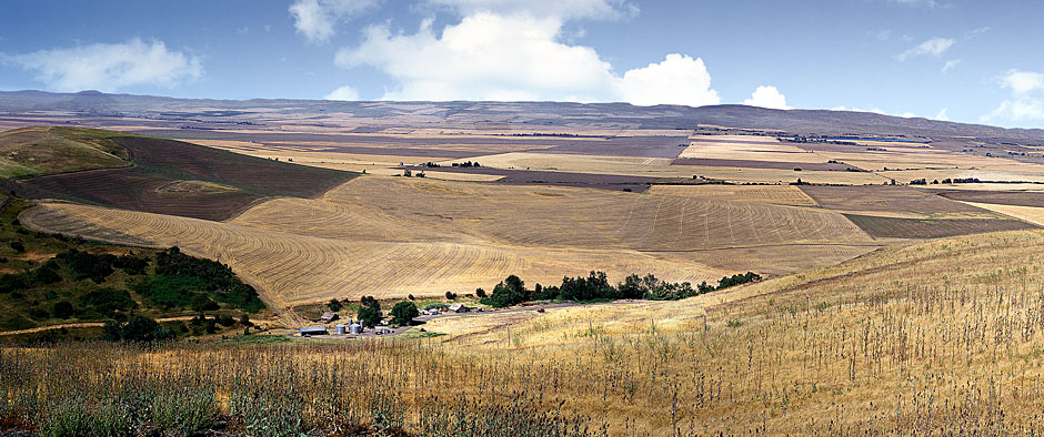 Pendleton farm panorama; panoramic grain fields seen from Emigrant Hill; Pendleton area photograph