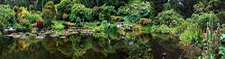 Shore Acres State Park near Coos Bay