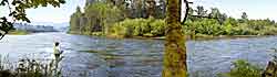 McKenzie River Panorama - Fisherwoman