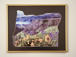 Balsam Root in bloom at Tom McCall Preserve in an Oregon mat