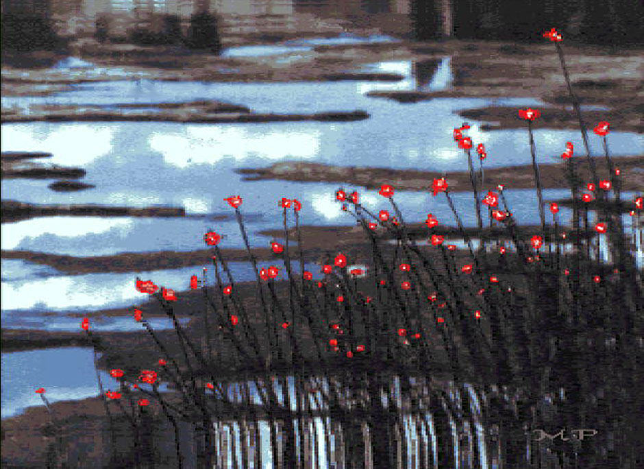 Buy this Computer Graphics - reeds, clouds; Pelican Lake in Oregon picture