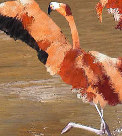 closeup representing flamingo painting style