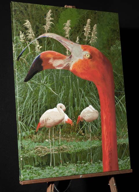 American Flamingo Close Up at SeaWorld in California,Canvas Painting