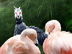 Chilean Flamingos Trust Crested Screamer; SequoiaZoo, Eureka