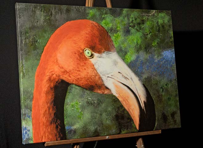 Flamingo Painting closeup Portrait;American Flamingo at San Diego Zoo for sale on canvas
