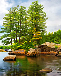 Moose River and moose; vertical picture from New York's Adirondack Mts