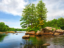Moose River WITH moose; horizontal image from New York's Adirondack Mts