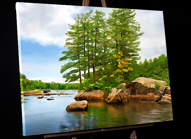 Moose River WITH Moose; wildlife painting from Adirondack Mountains in New York; canvas picture for sale