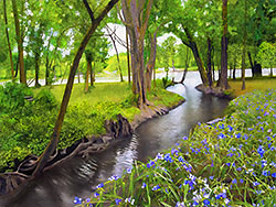 Winooski River in Vermont with blue flowers on canal's edge; for sale