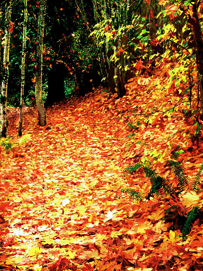 Buy this Oregon Woodland digital art picture - leaves VERY textured picture