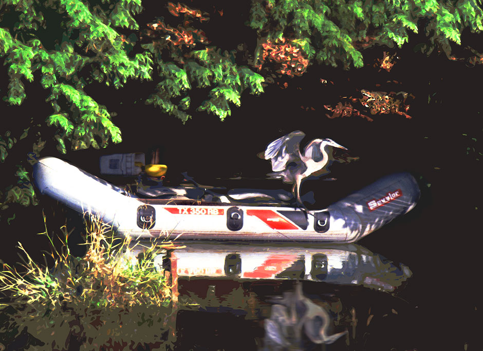 Buy this Blue Heron in boat picture