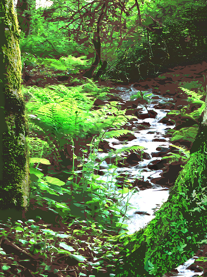 Buy this Oregon Woodland scene - brook, stream, creek VERY textured picture