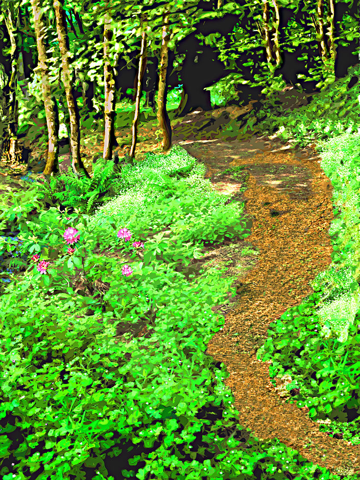 Buy this Oregon Woodland digital art - path through flowers and trees in the woods picture