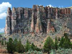 Clarno Fossil Beds