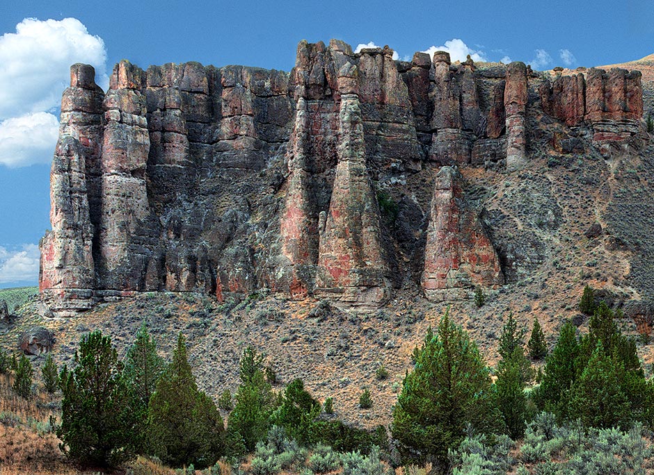 Clarno Fossil Beds