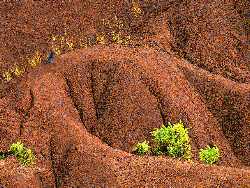 Sheeprock Soil