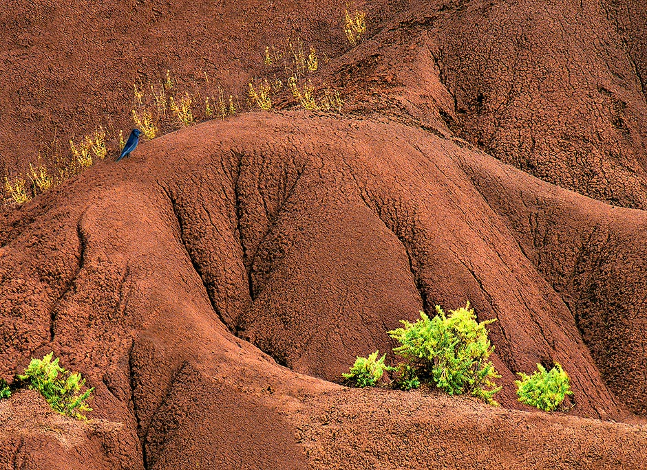 Sheep Rock Soil