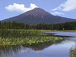 Mt Bachelor and Lush Reeds