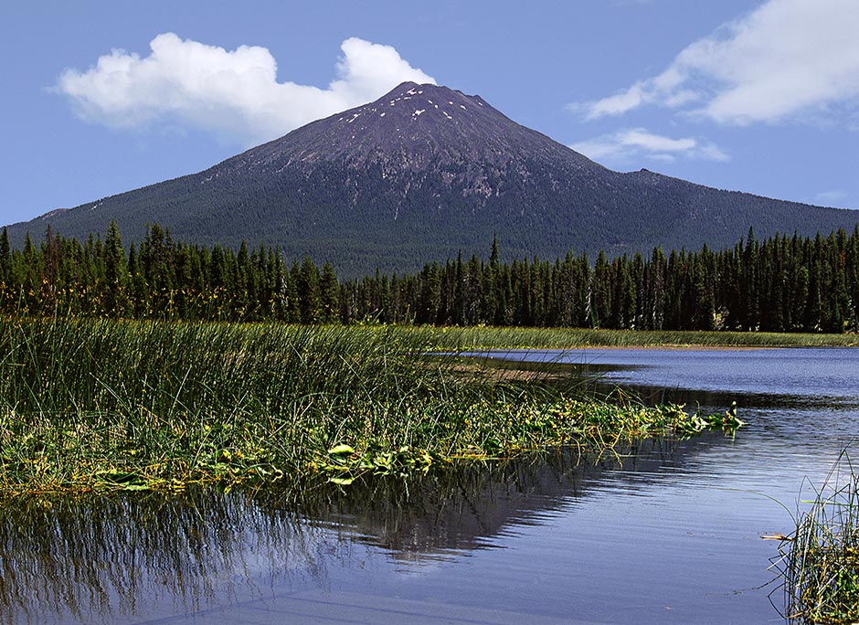 Mt Bachelor and Lush Reeds