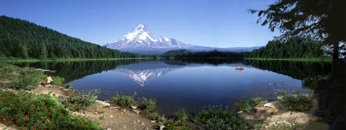 Mt Hood at Trillium Lake