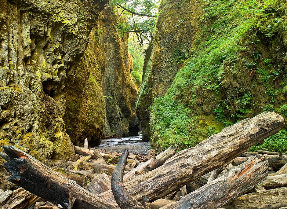 Oneonta Creek