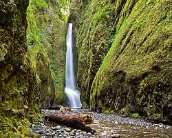 Oneonta Gorge