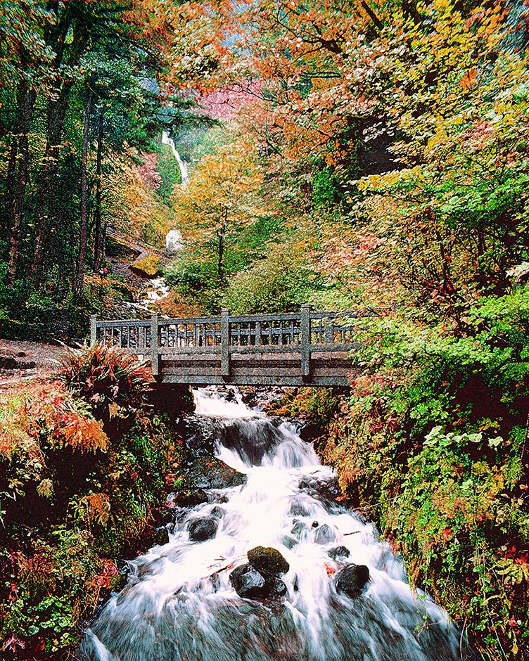 Wahkeena Falls