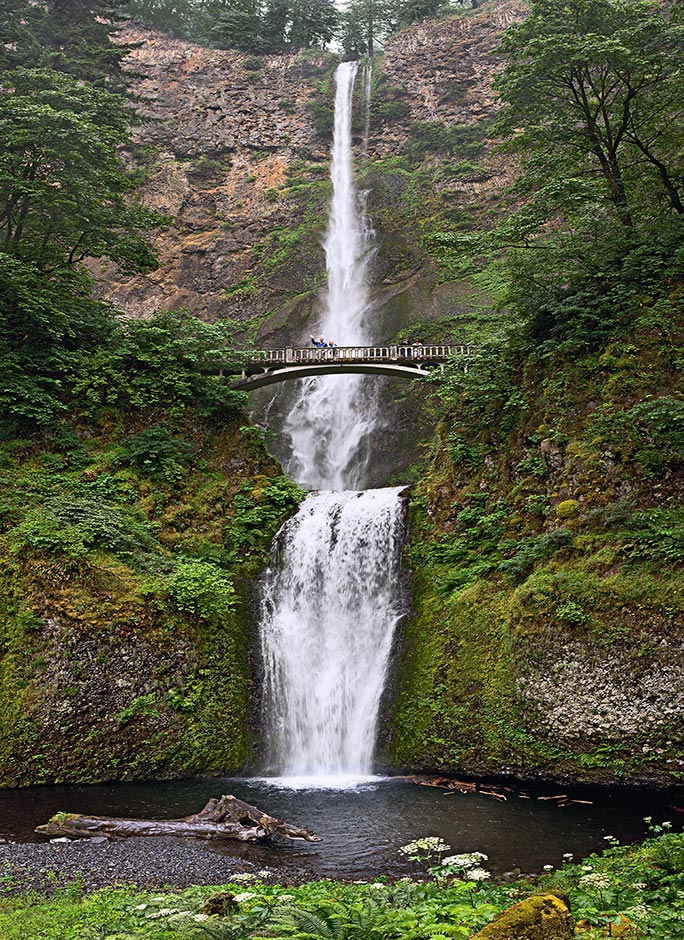 Multnomah Falls Entire