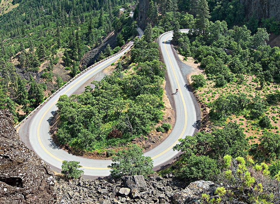 Rowena Loop Crest