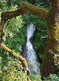 Shepperd's Dell Falls