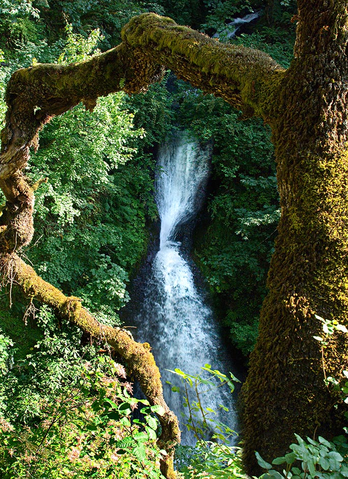 Shepperd's Dell Falls