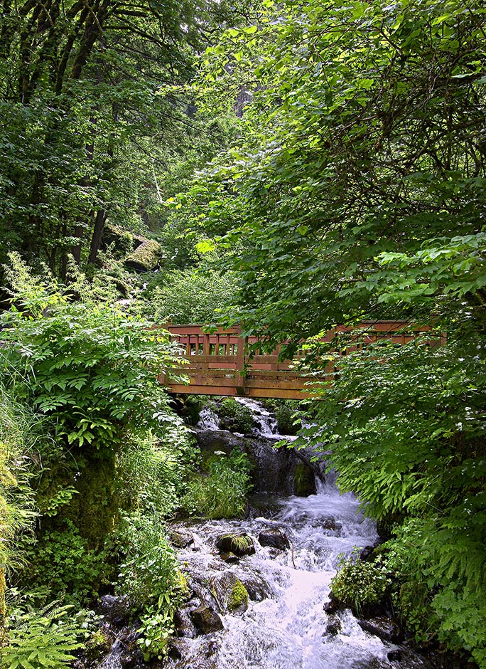 Wahkeena Falls in Spring