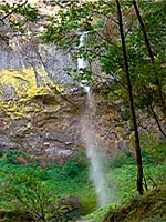 Wispy Elowah Falls