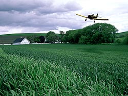 Crop duster in Walla Walla, WA