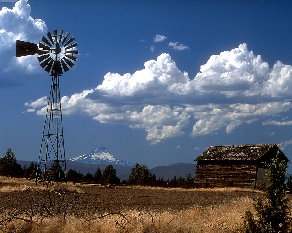 Maupin Windmill