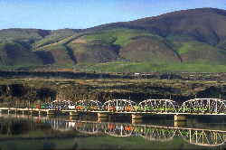 The Train Reflections