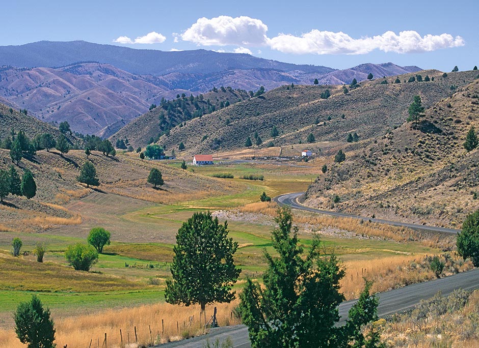 Farm near Izee, Oregon