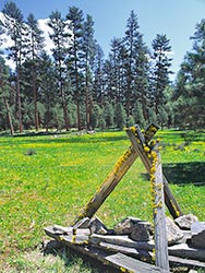 Eastern Oregon Malheur National Forest at Izee Junction