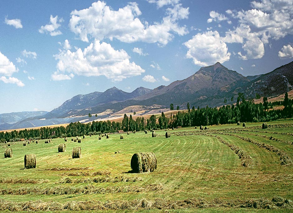 Oregon Agriculture - Strawberry Mountain - hay bales