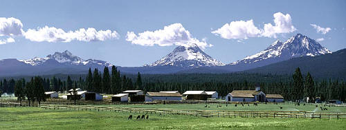 Llama farm in Sisters Oregon and the Three Sisters mountains