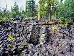 Lava flows including tree molds from lava burning through a tree and cooling into casts