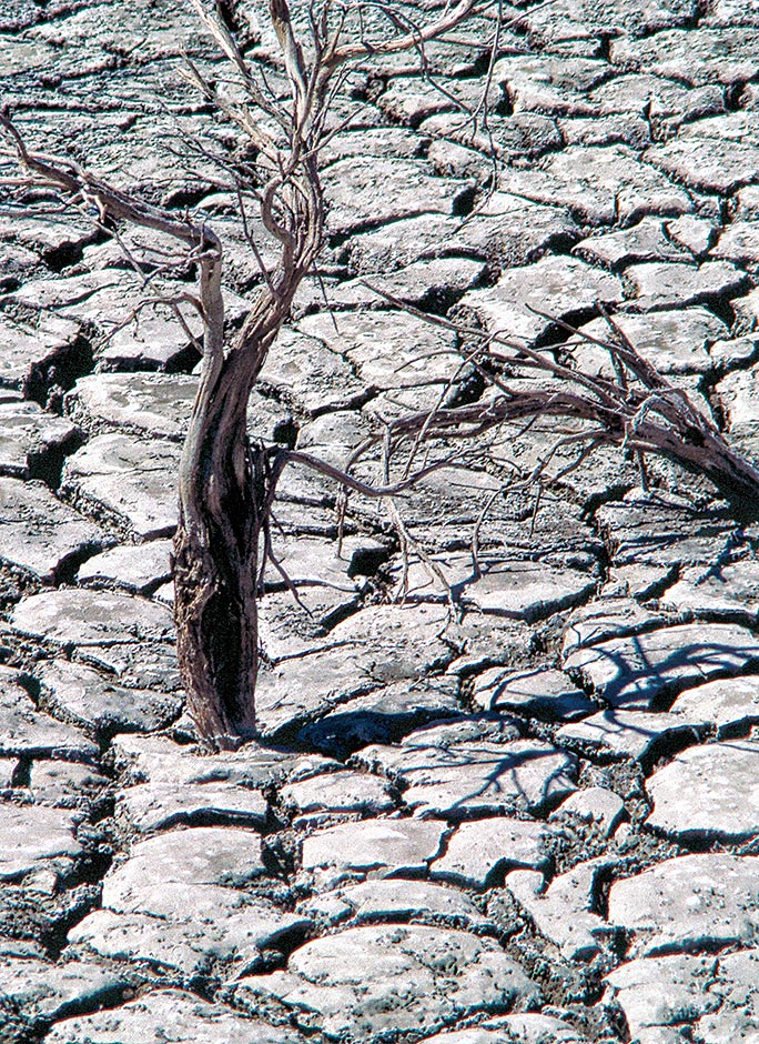 In 1988 the waters were receding and cracked mud was plentiful near Burns, Oregon