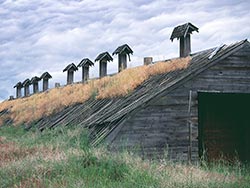 Bonanza Potato Cellar; Klamath Falls Agriculture