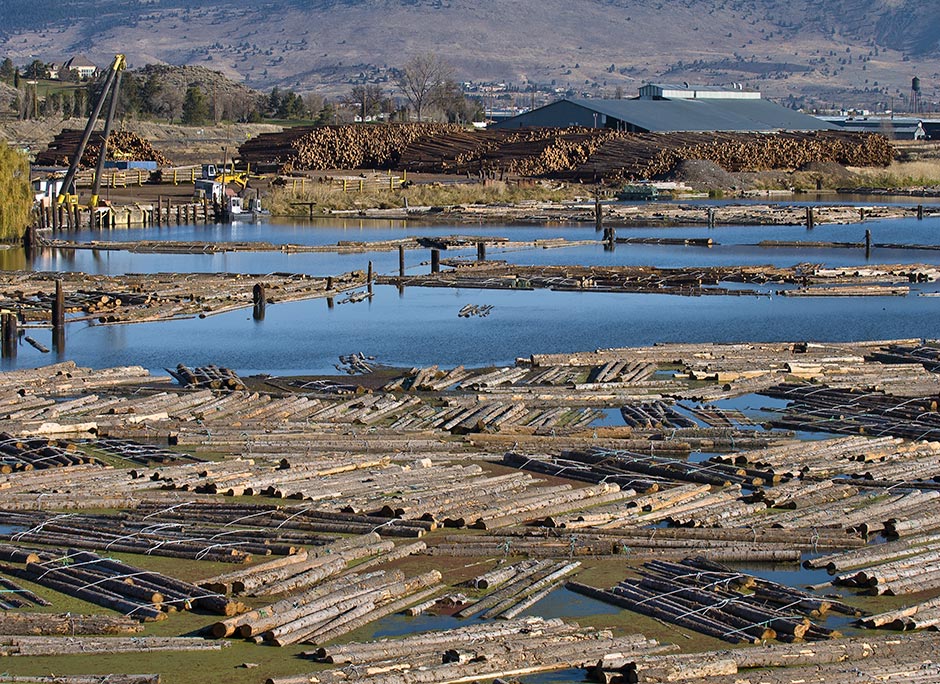 Logs on Ewauna Lake; Klamath River