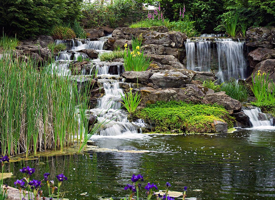 Eammon Hughes Water Garden in Silverton's Oregon Garden