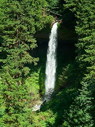 Silver Falls State Park (Silvercreek Falls)